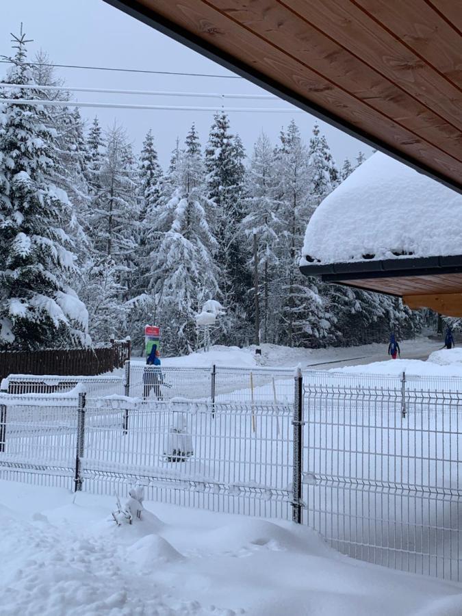Punkt Koscielisko, Dom Gorski 800 M Od Doliny Koscieliskiej Exteriér fotografie