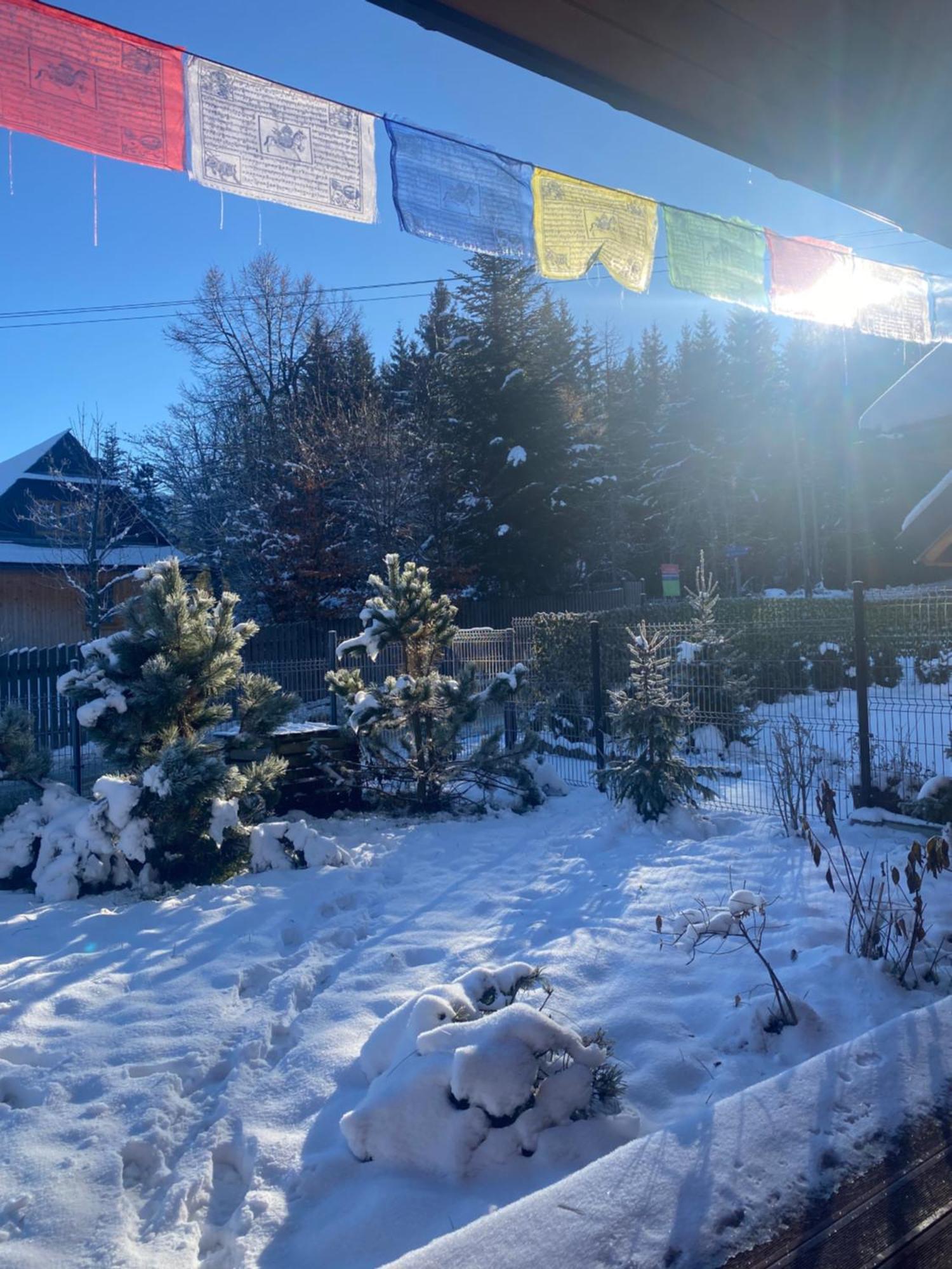 Punkt Koscielisko, Dom Gorski 800 M Od Doliny Koscieliskiej Exteriér fotografie