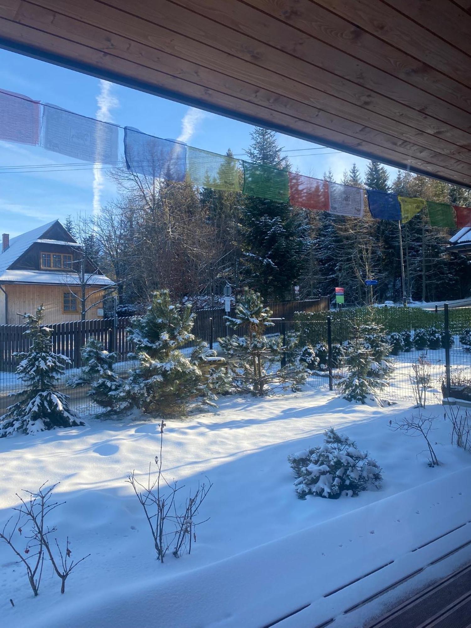 Punkt Koscielisko, Dom Gorski 800 M Od Doliny Koscieliskiej Exteriér fotografie